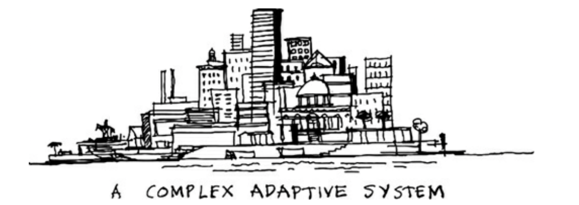 A cpmplex adaptive system